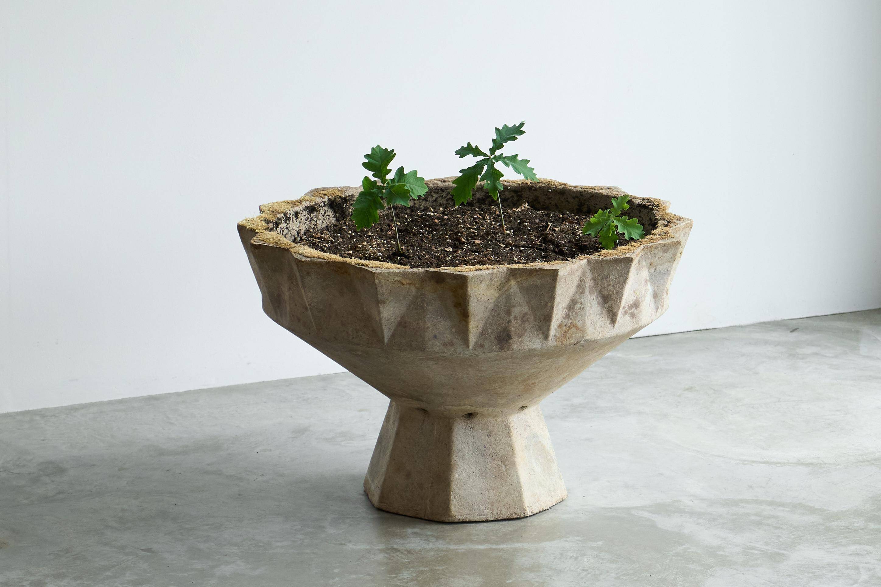 Willy Guhl monumental concrete chalice from the 1960s.