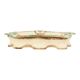 Antique French Majolica Earthenware Asparagus Plate, 19th Century