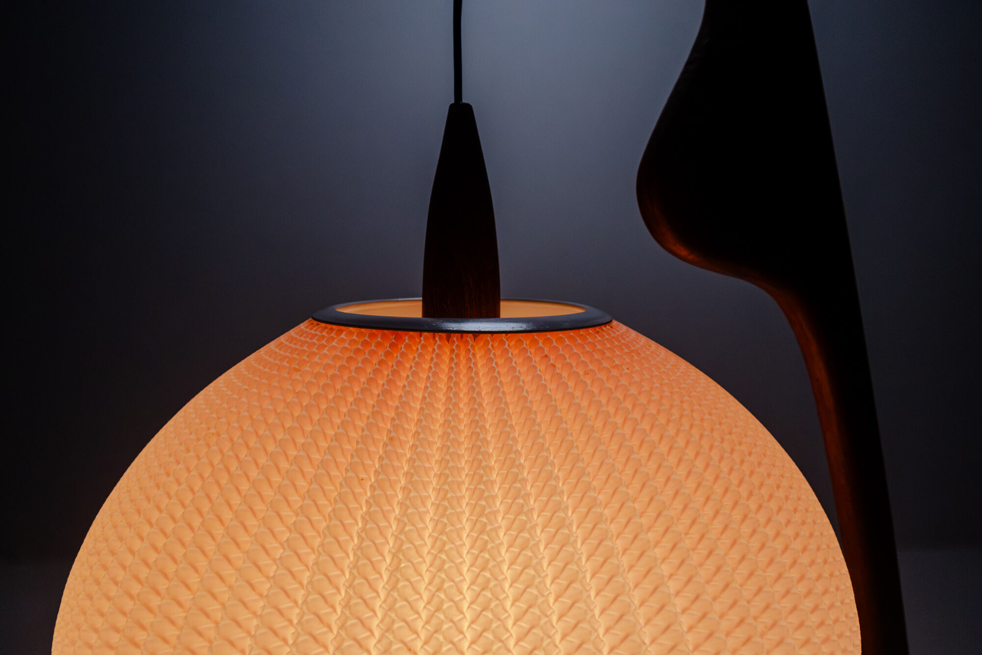 Floor lamp Praying Mantis by Rispal, France, 1950s