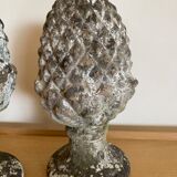 Pine ball