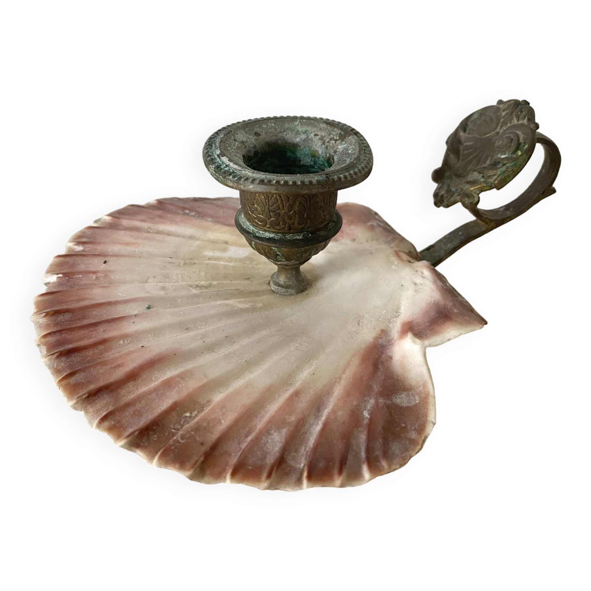 Scallop shell and lion paws candle holder