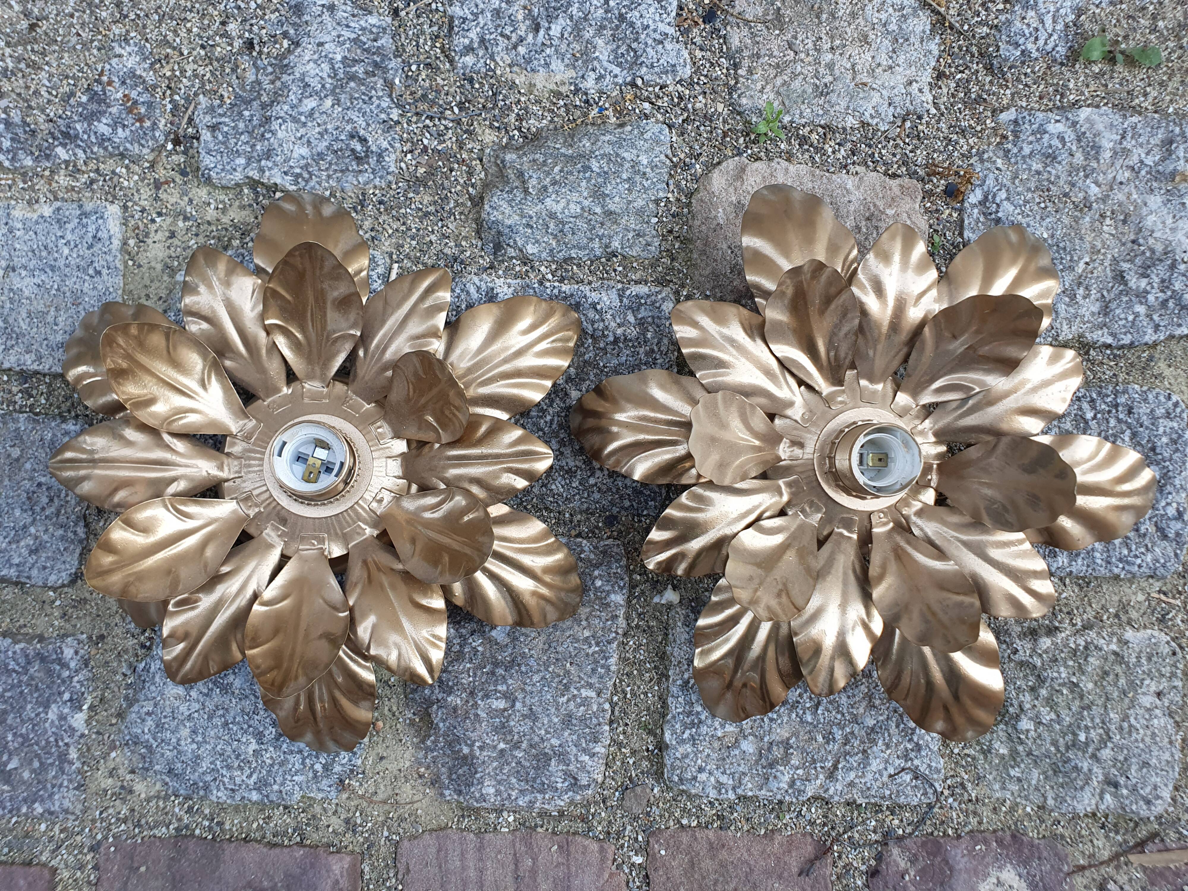 Paire d'appliques : fleurs dorées