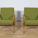 Model 300-139 Armchairs from Swarzędz Factory, 1960s, Set of 2