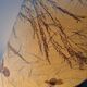 Vintage pyrite stone lamp