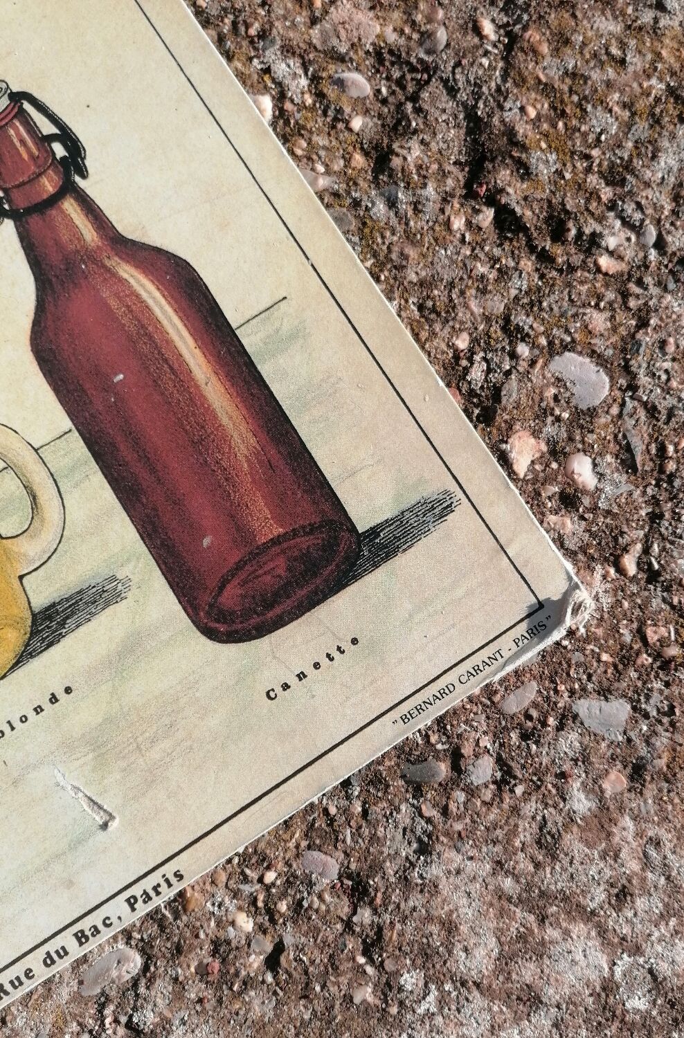 Educational poster La Bière - Musée scolaire Les fils d'Émile Deyrolle