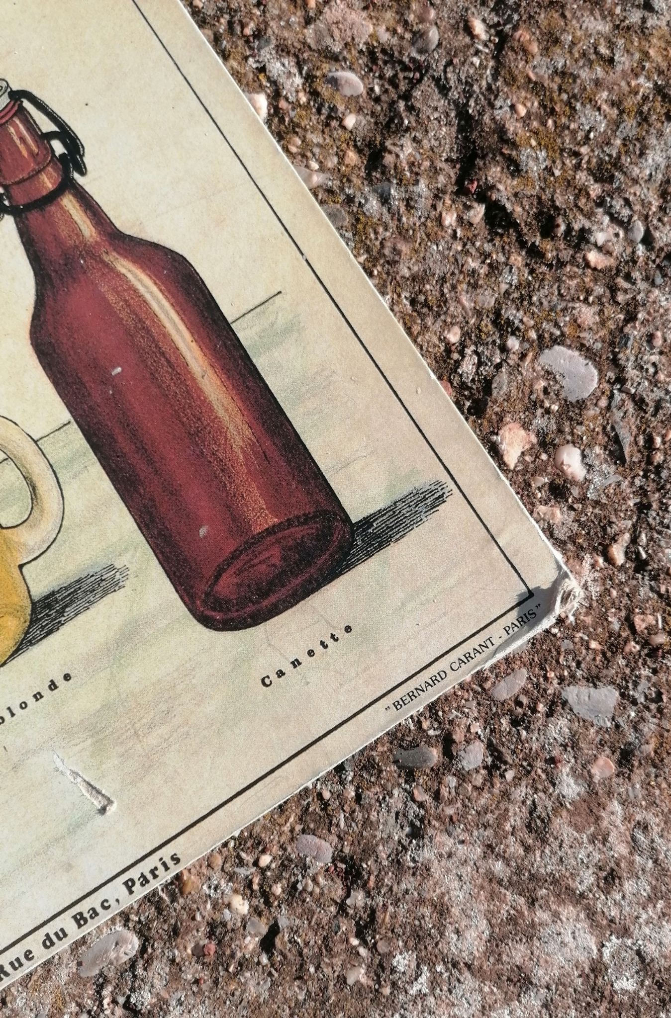 Educational poster La Bière - Musée scolaire Les fils d'Émile Deyrolle