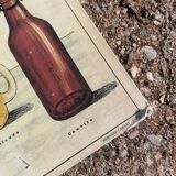 Educational poster La Bière - Musée scolaire Les fils d'Émile Deyrolle