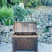 Imposing Indian Chest in Exotic Wood and Wrought Iron