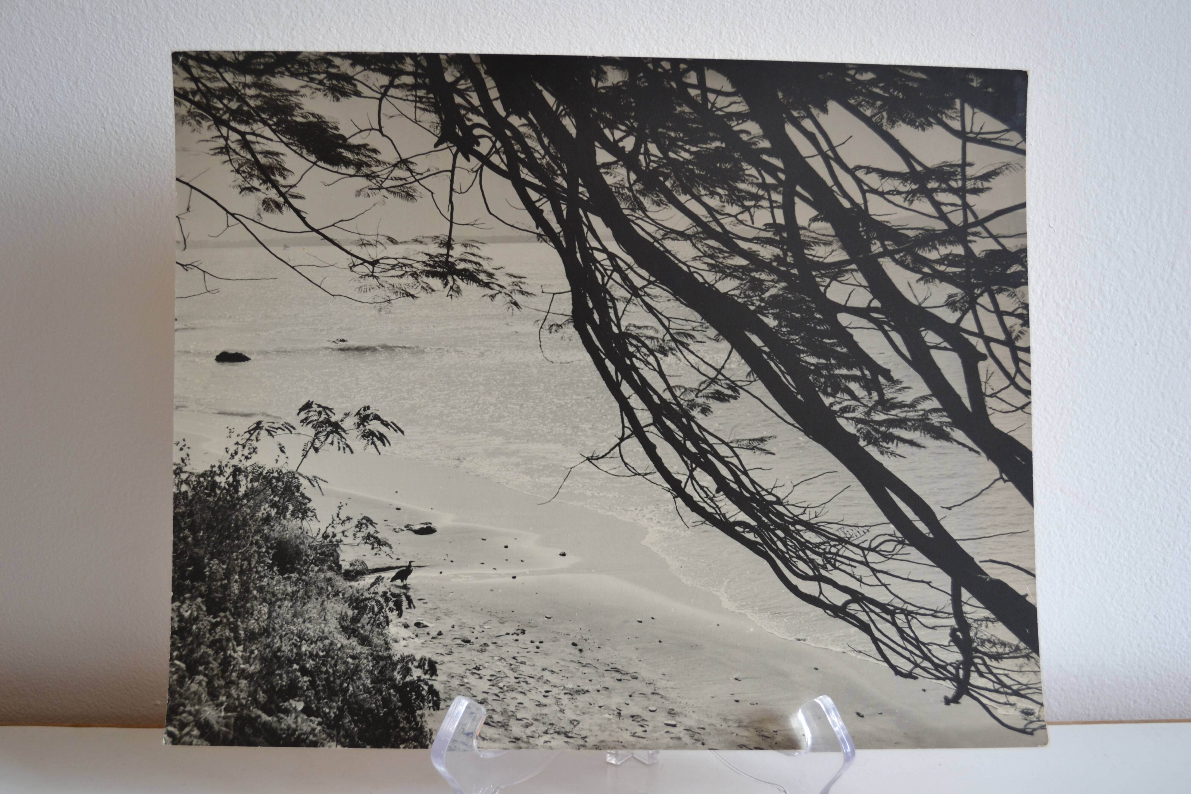 Anonymous silver photo africa beach sea circa 1970