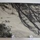 Anonymous silver photo africa beach sea circa 1970