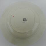 Six hollow earthenware plates
