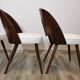 Dining Chairs by Antonin Suman, 1960s, Set of 4