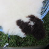 Sheepskin