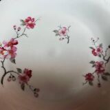 12 assiettes blanches motifs fleurs de pommier porcelaine de Sologne