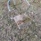Vintage designer chair in plexiglass and chrome 1980