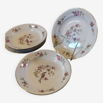 Porcelain soup plates