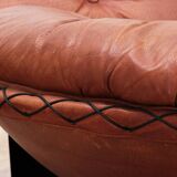 Lounge Set in Cognac color by Illum Wikkelsø for Ryesberg Møbler, 1970