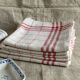 5 antique red and white checked tea towels