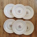 Flat plates L'Amandinoise 1055