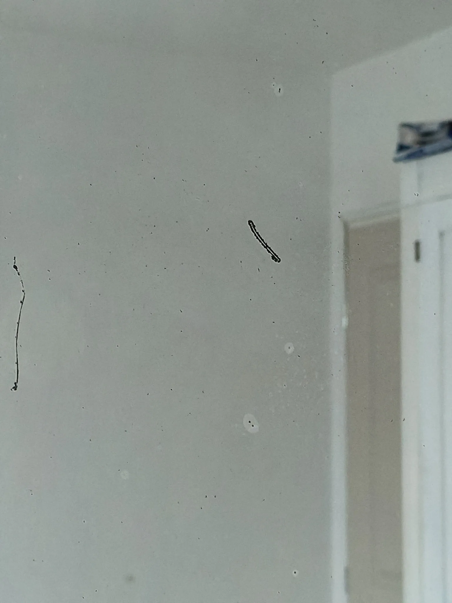 Louis Philippe mirror with ornate frame