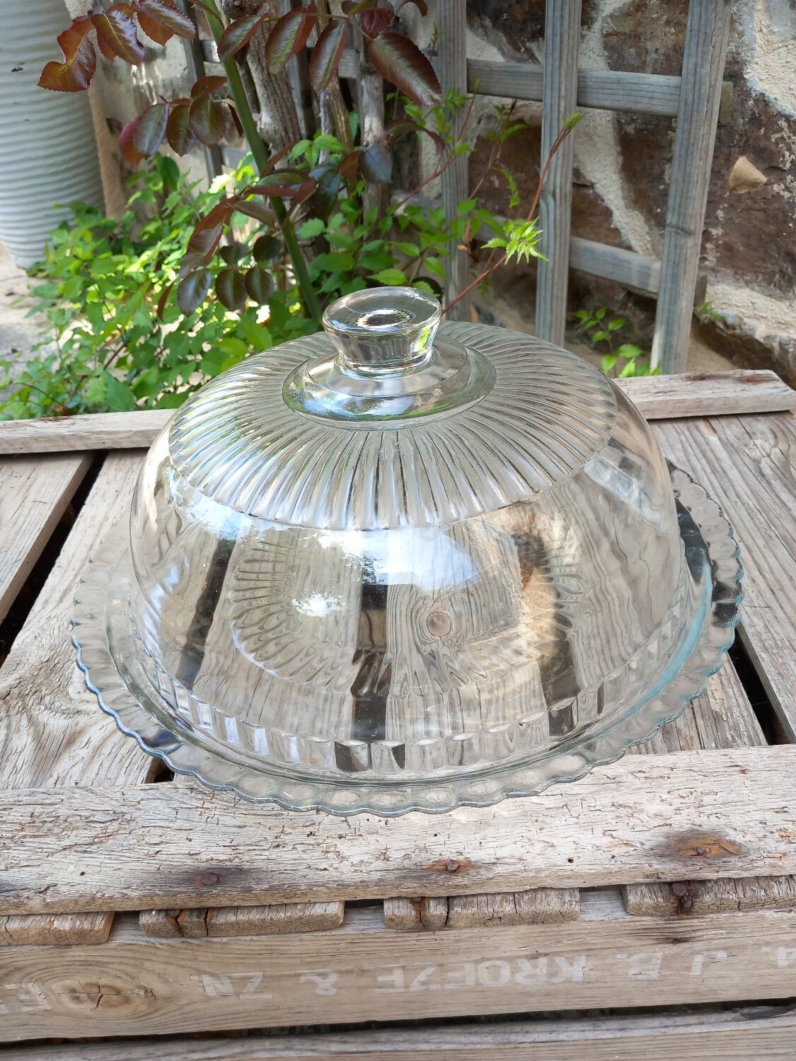 Glass dish and bell