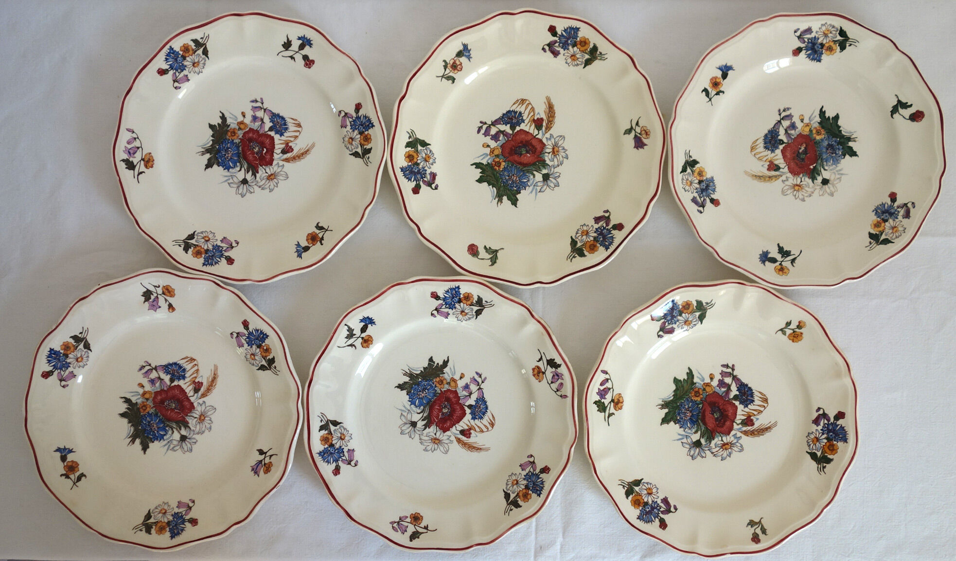 Set of 6 flat plates in earthenware Sarreguemines Model "Agreste" vintage