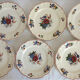 Set of 6 flat plates in earthenware Sarreguemines Model "Agreste" vintage