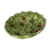 Strawberry dish slurry