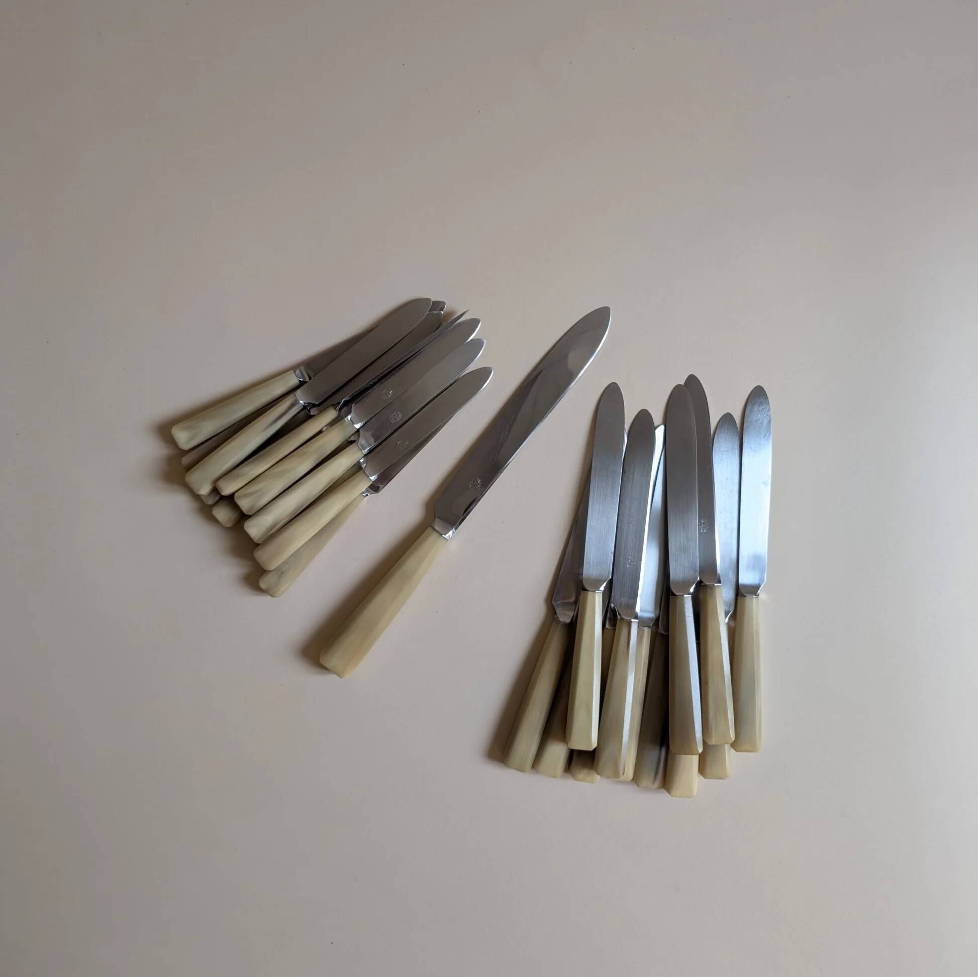 Set of 25 horn and stainless steel knives