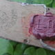 Old boxes postal transport