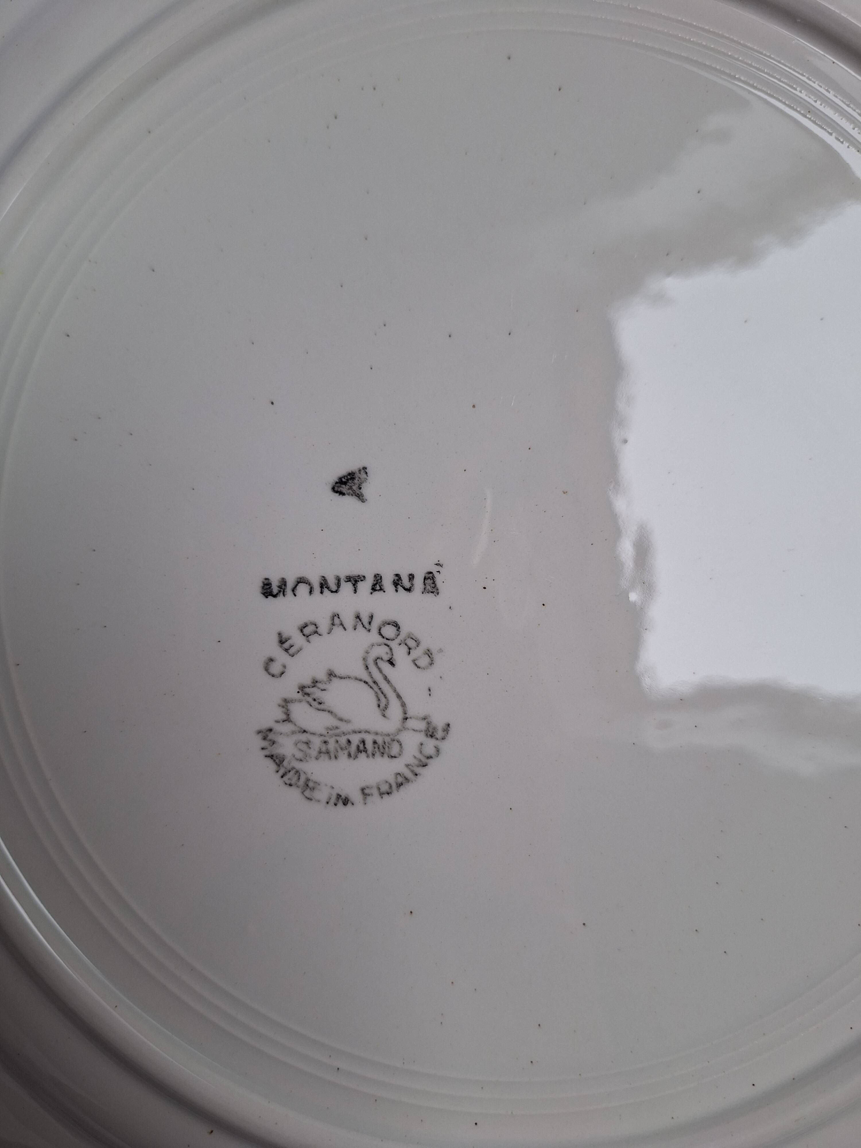 Vintage blue dinner plates