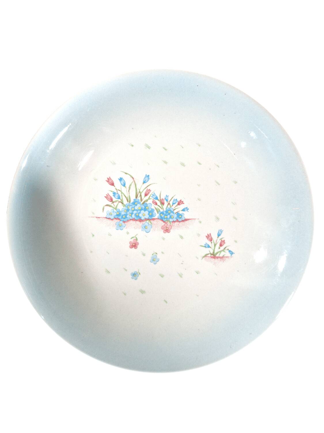 3 assiettes Primula décor Myosotis