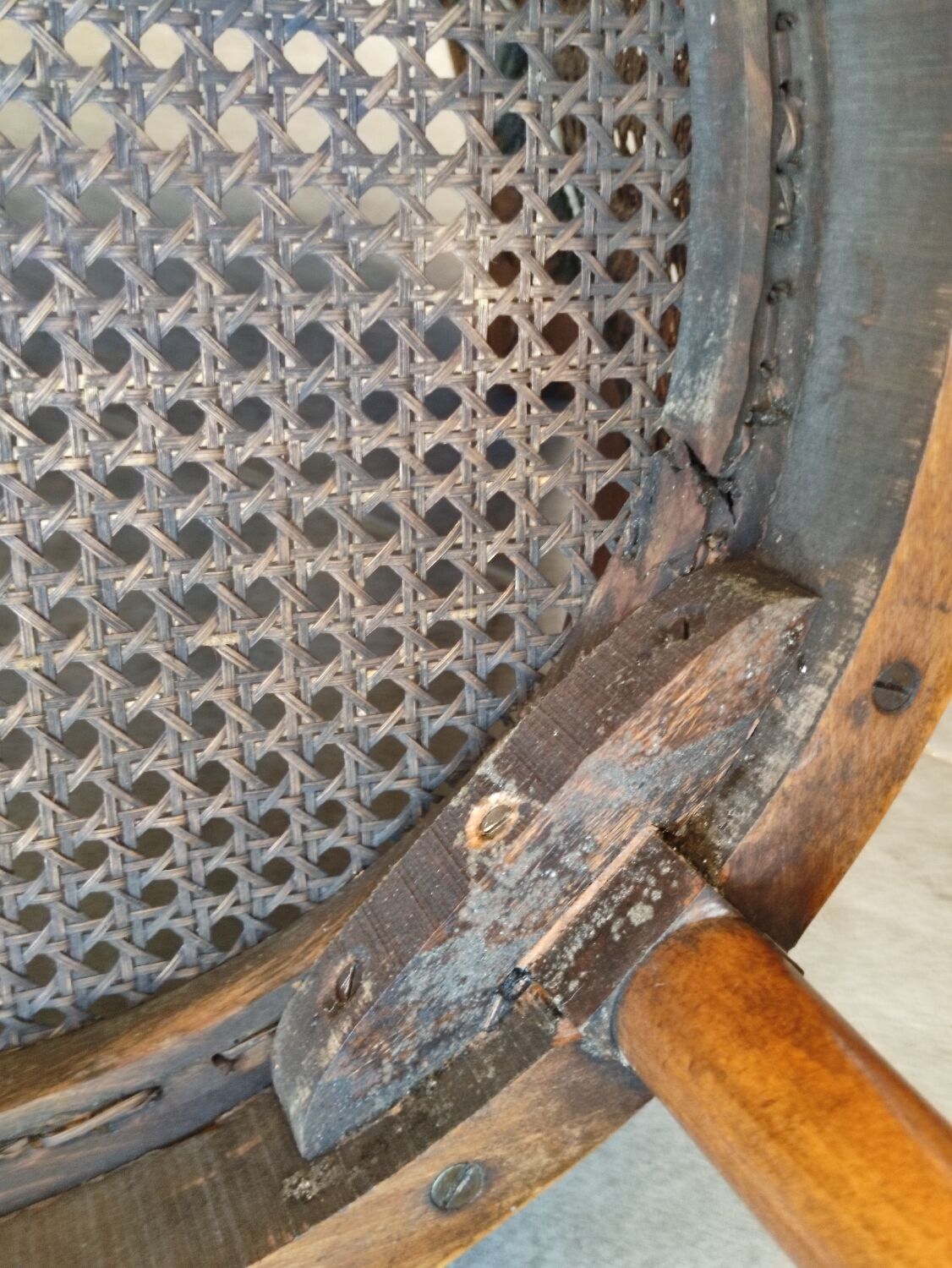 Louis XVI style office armchair in walnut and canning