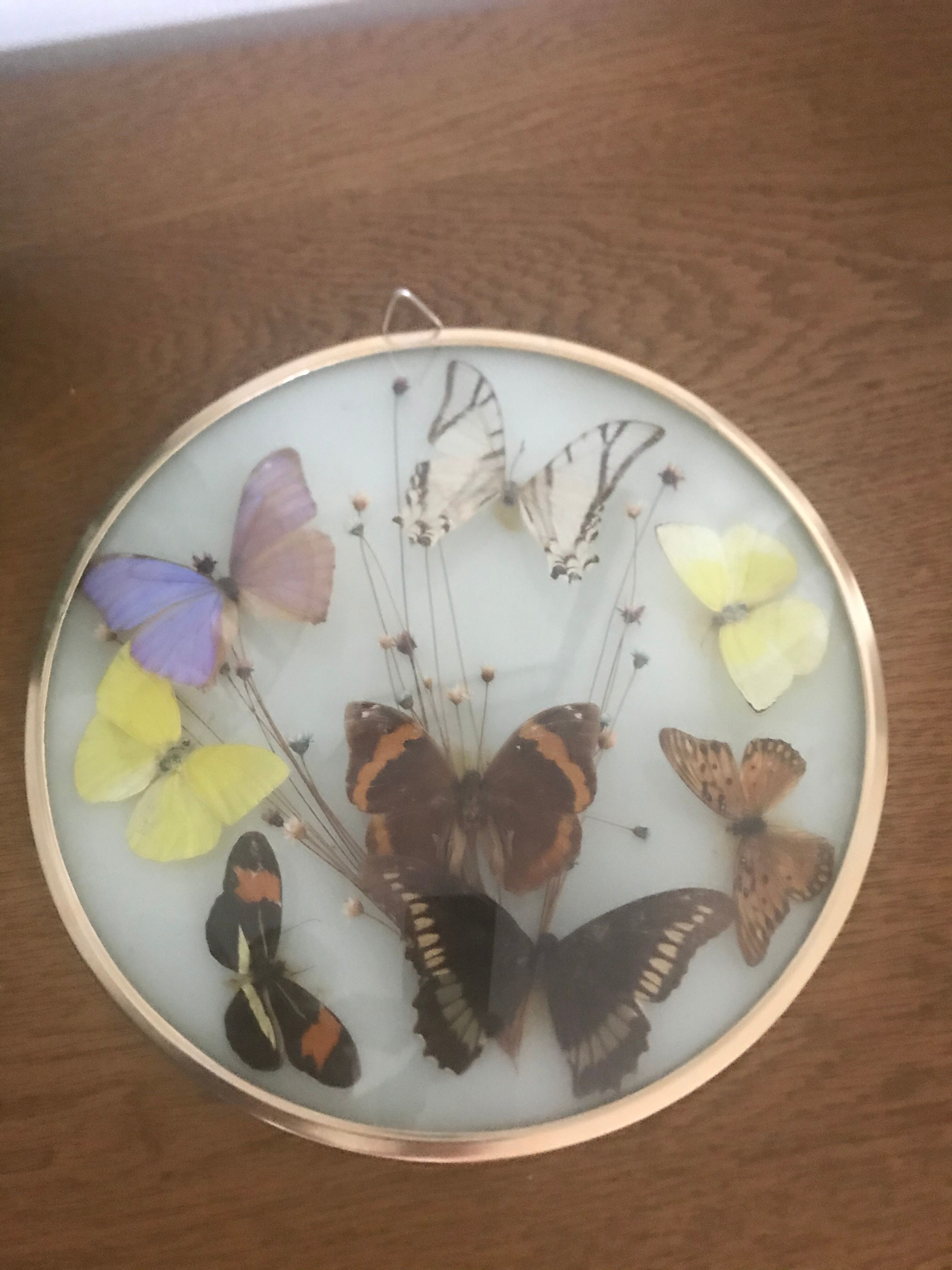 Cadre vintage papillons