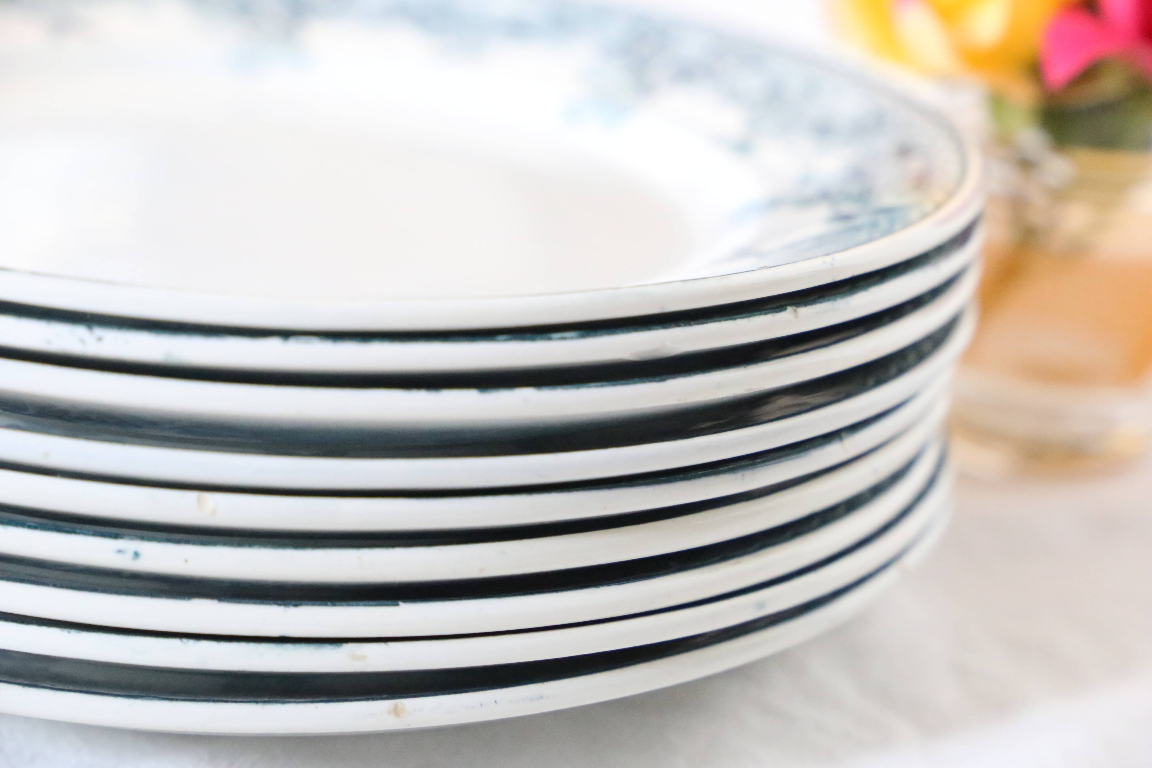 Dessert plates x9, iron earth, Estival model by Saint Amand