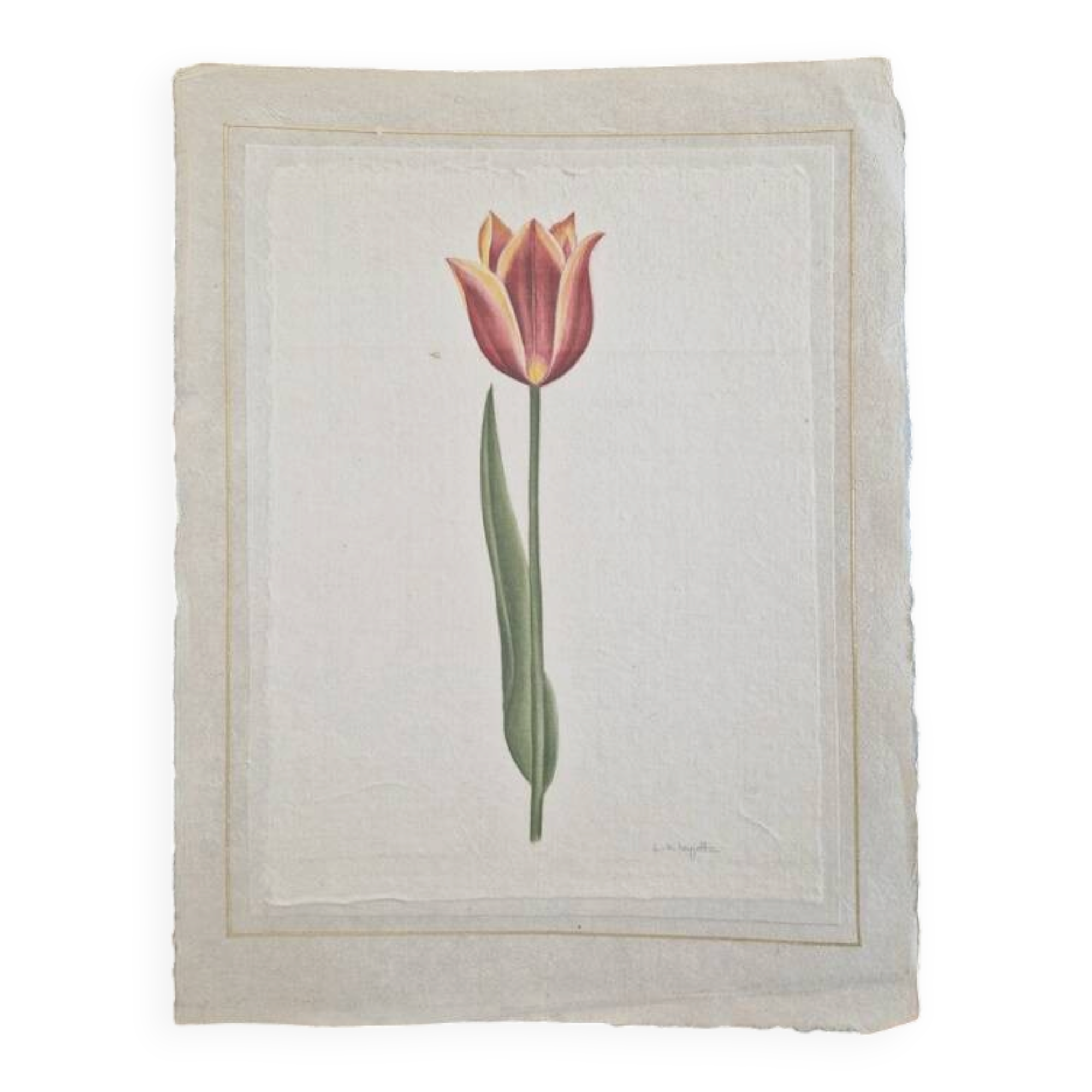 La Roche Laffitte (Born in 1943) - Watercolour drawing on silk - Tulip