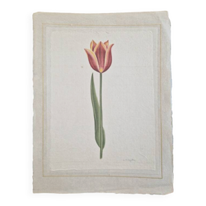 Dessin à l'aquarelle - soie