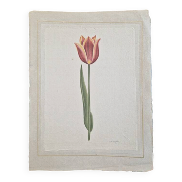 La Roche Laffitte (Born in 1943) - Watercolour drawing on silk - Tulip