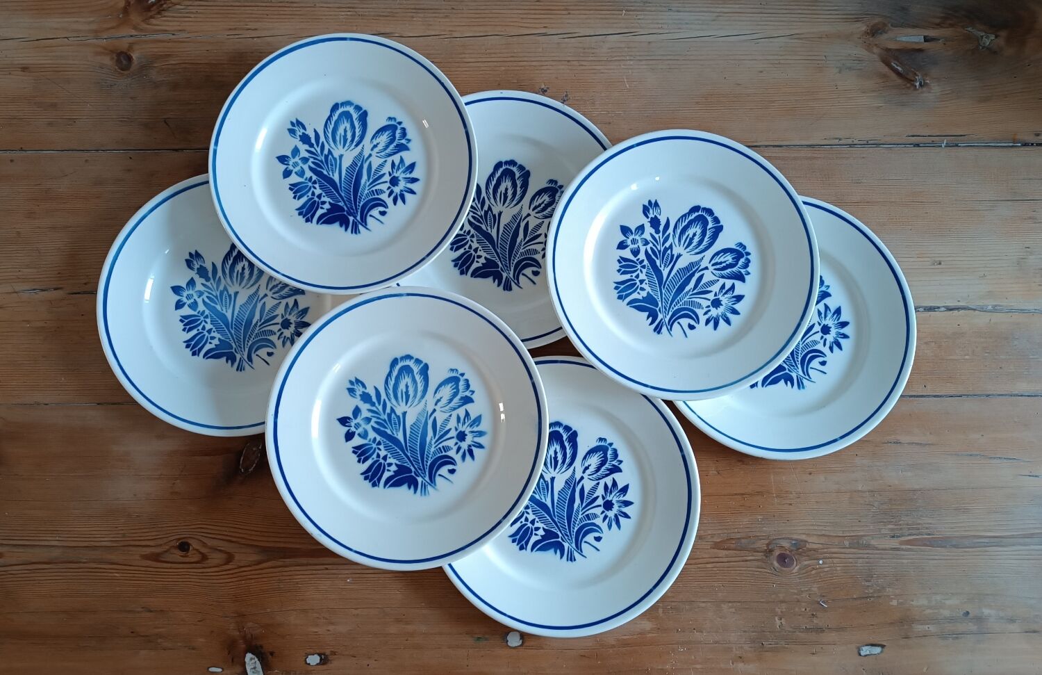 Set of 6 vintage earthenware plates