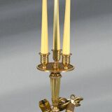 Empire Style Solid Bronze Bouillotte Lamp with Sheet Metal Shade