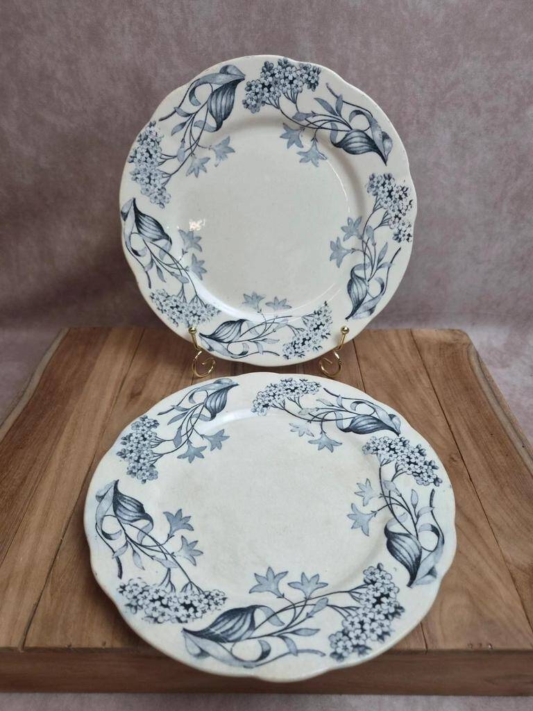 Set of 2 Longchamp ironstone plates model Lila Art Nouveau 22 cm