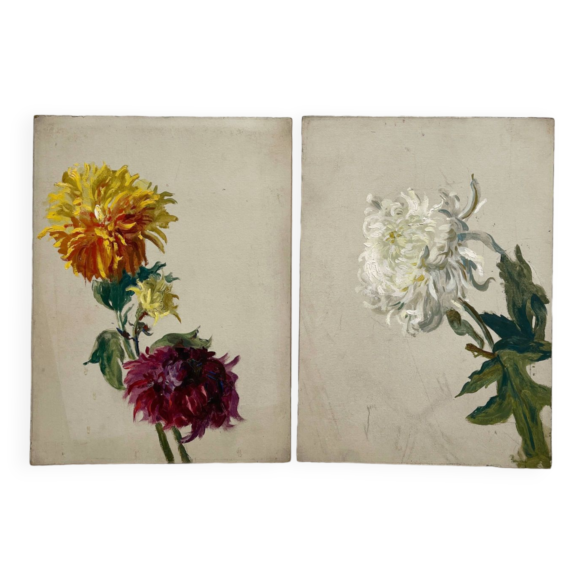 2 paintings on old cardboard dahlia flowers