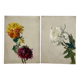 2 paintings on old cardboard dahlia flowers
