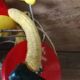 Old Mickey Mouse toy on his wooden tricycle
