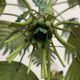 Tropical chandelier in sheet metal 1970.