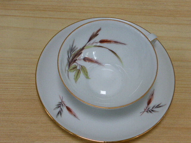 Service has coffee porcelain patterns vintage 1960 corn cobs