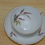 Service has coffee porcelain patterns vintage 1960 corn cobs
