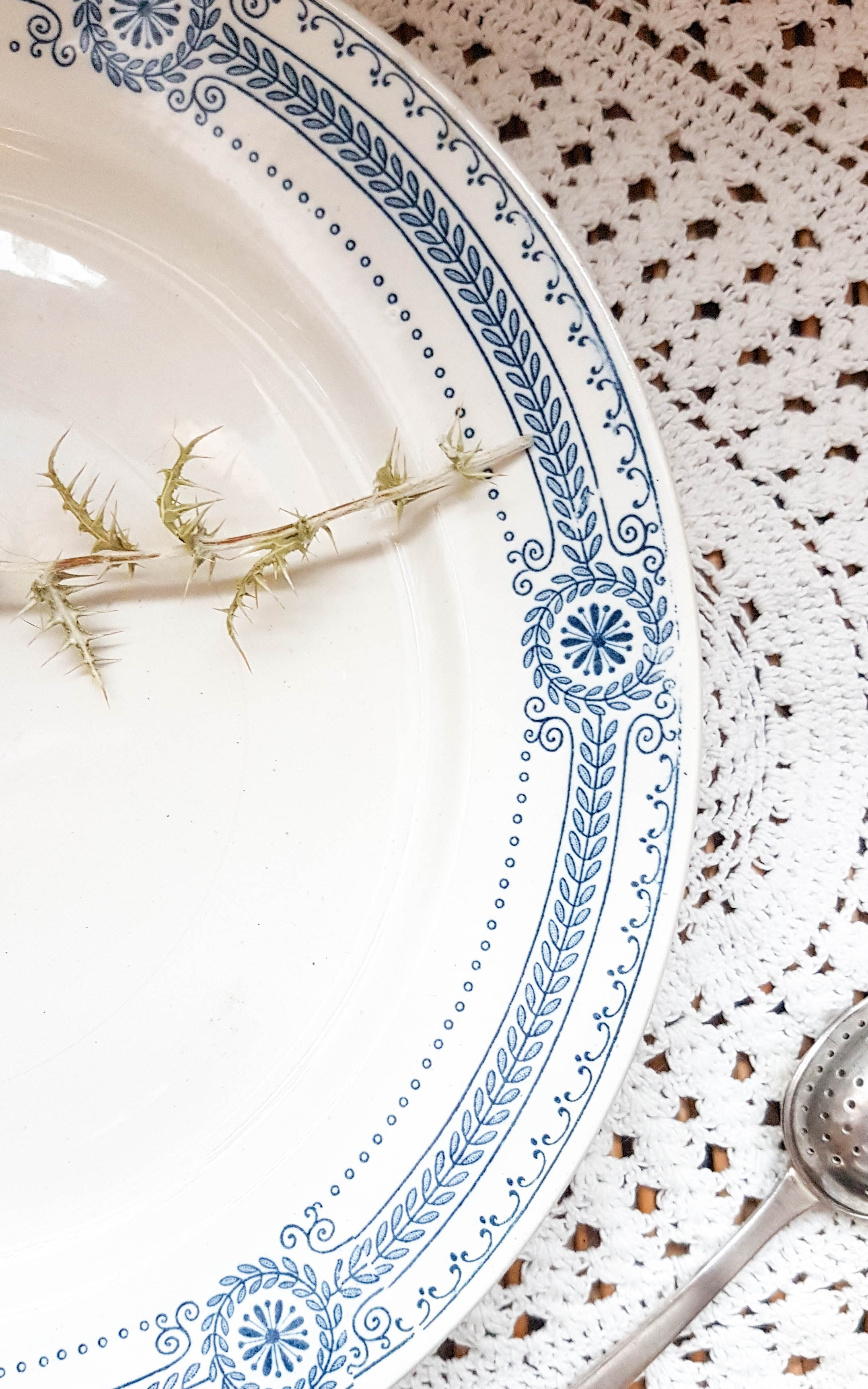 Lot of 4 blue plates "carina" U&C Sarreguemines Terre de Fer
