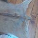 New goat skin