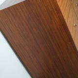 Vintage Mid-Century Dutch Shop / Apothecary Cabinet